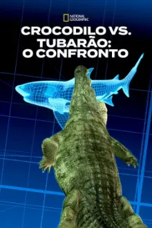 Crocodilo vs. Tubarão: O Confronto