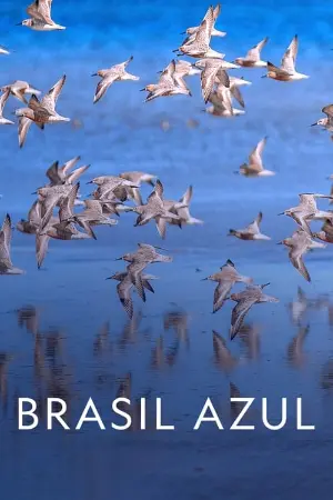 Brasil Azul