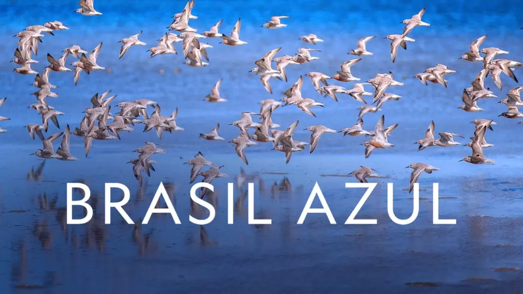 Brasil Azul