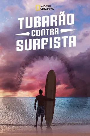 Surfando com os Tubarões