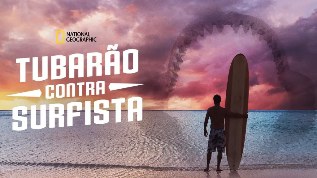 Surfando com os Tubarões