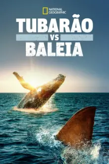 Tubarão vs. Baleia