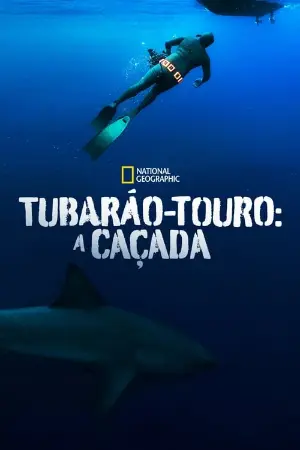 Tubarão-Touro: A Caçada