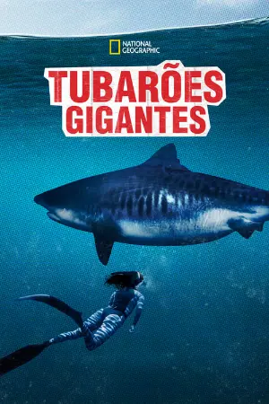 Tubarões Gigantes