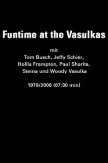 Funtime at the Vasulkas