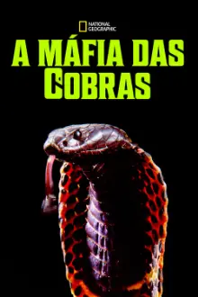 A Máfia das Cobras