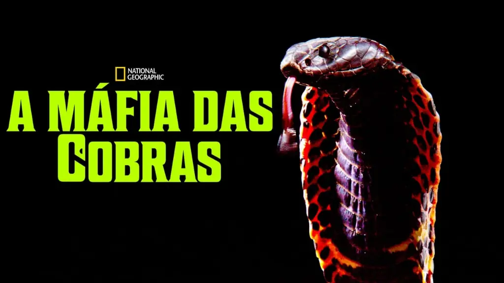 A Máfia das Cobras