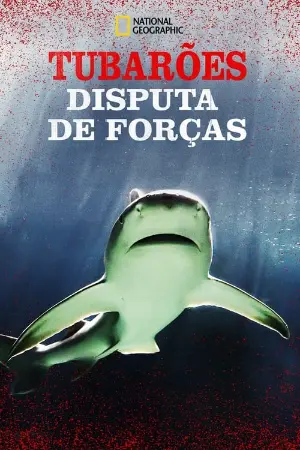 Tubarões: Disputa de Forças
