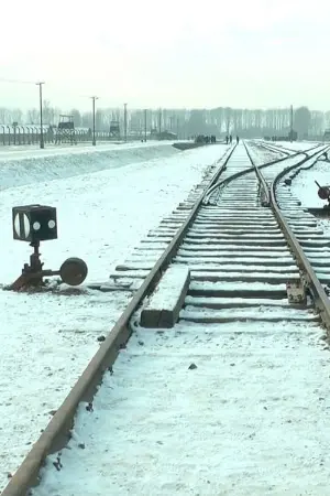 19 876 Steps in Auschwitz / Birkenau