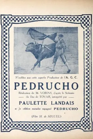 Pedrucho