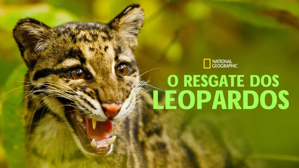 O Resgate dos Leopardos