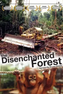 Disenchanted Forest