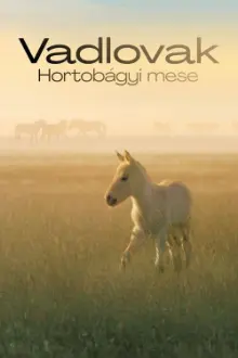 Wild Horses - A Tale From The Puszta