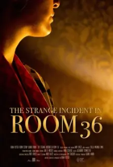 The Strange Incident In Room 36