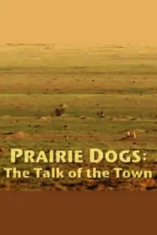 Prairie Dogs: Talk of the Town