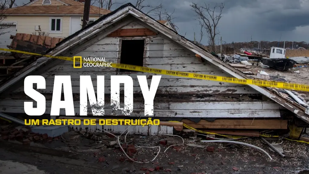 Sandy: Um Rastro de Destruição