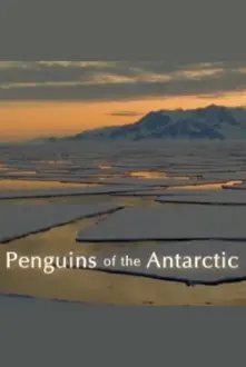 Penguins of the Antarctic