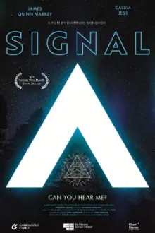 Signal