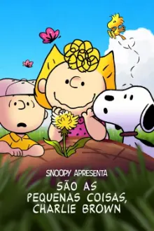 Snoopy apresenta: são as pequenas coisas, Charlie Brown