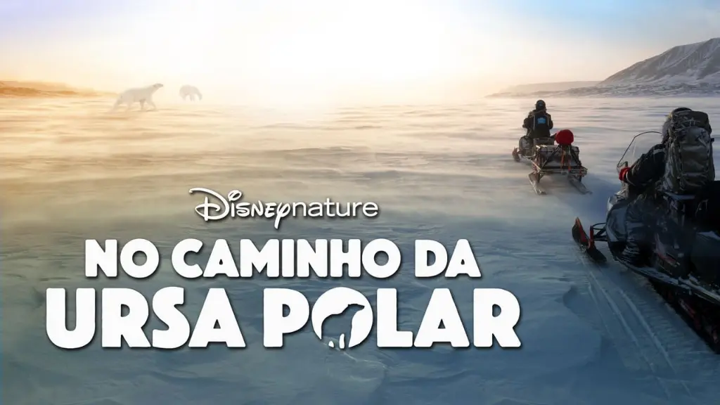 No Caminho da Ursa Polar