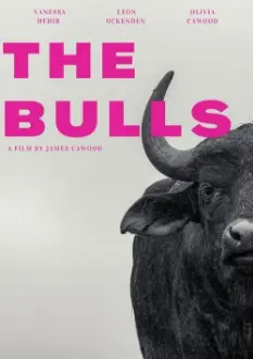 The Bulls