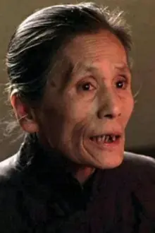 Xu Wei como: aunt Wang