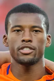 Georginio Wijnaldum como: 