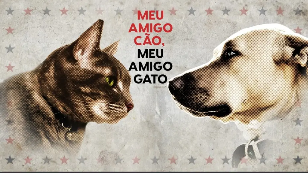 Meu Amigo Cão, Meu Amigo Gato