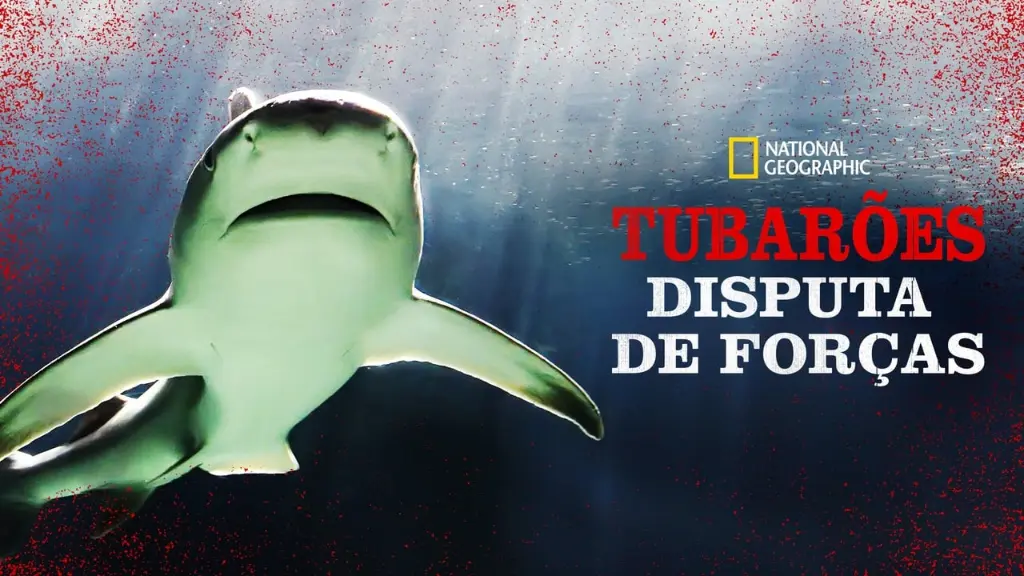 Tubarões: Disputa de Forças