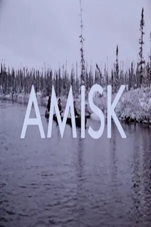 Amisk