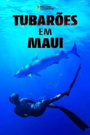 Tubarões em Maui