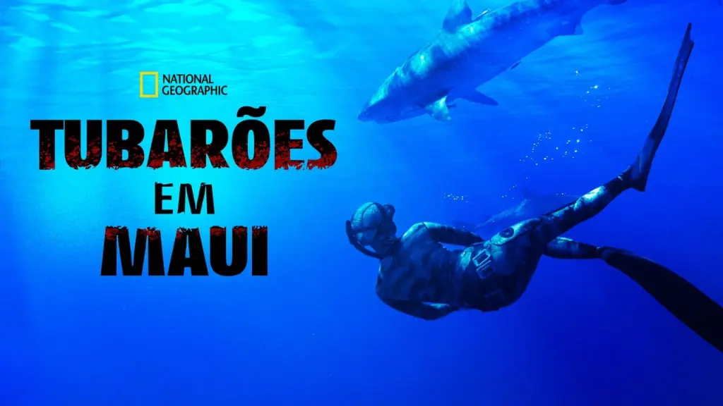 Tubarões em Maui