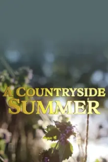 A Countryside Summer