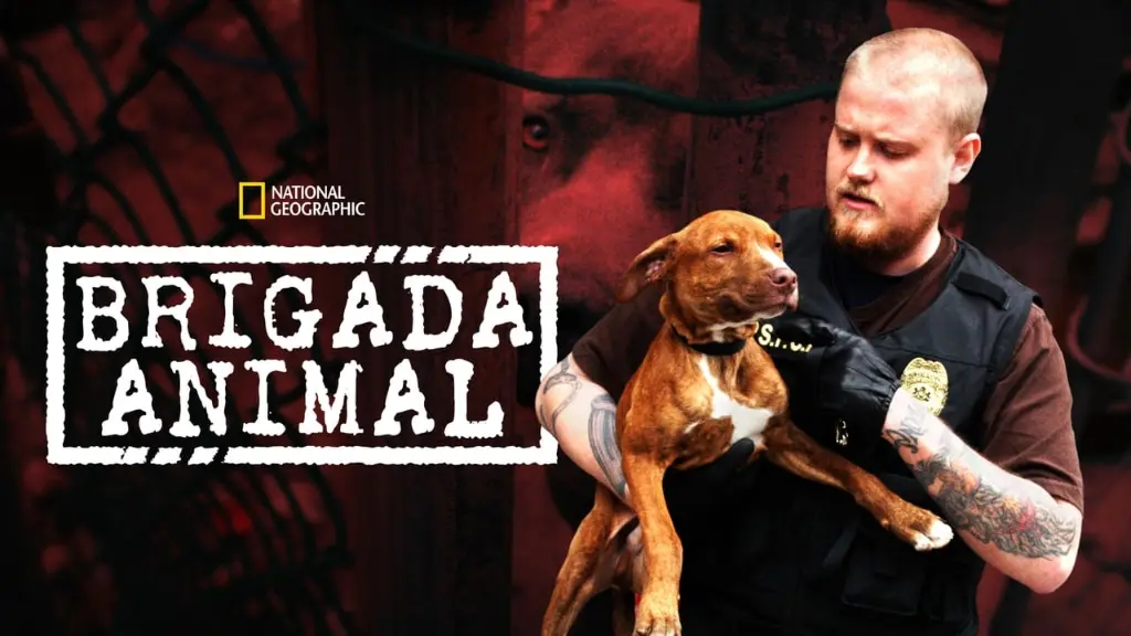 Brigada Animal