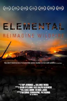 Elemental: Reimagine Wildfire