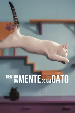 Dentro da Mente de um Gato