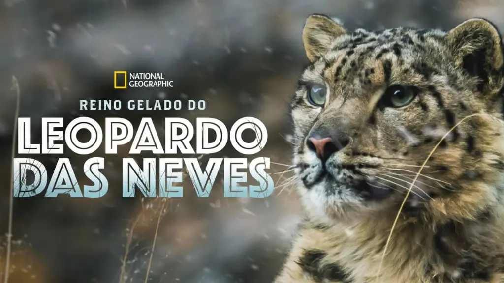 Reino Gelado do Leopardo das Neves