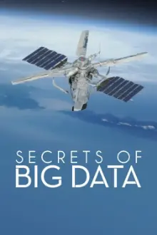 Secrets of Big Data