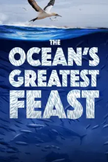 The Ocean’s Greatest Feast