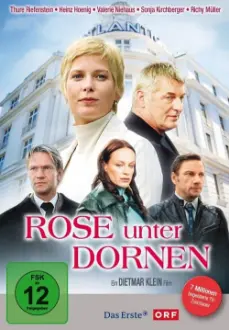 Rose unter Dornen