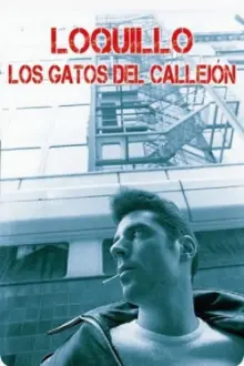 Los gatos del callejón