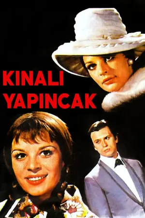 Kınalı Yapıncak