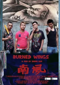 Burned Wings