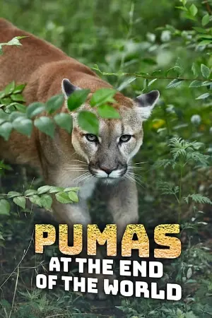 Pumas no Final do Mundo