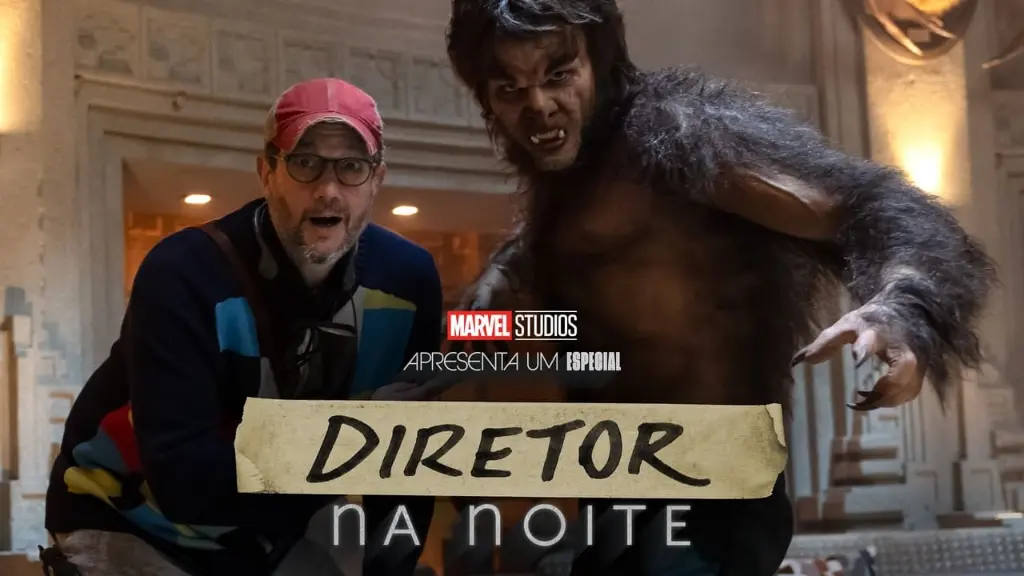 Diretor na Noite