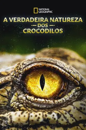 A Verdadeira Natureza dos Crocodilos