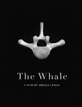 The Whale