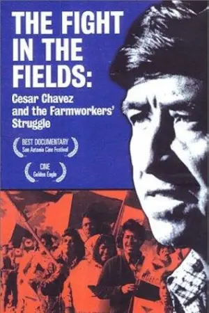 The Fight In The Fields