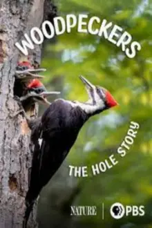 Woodpeckers: The Hole Story