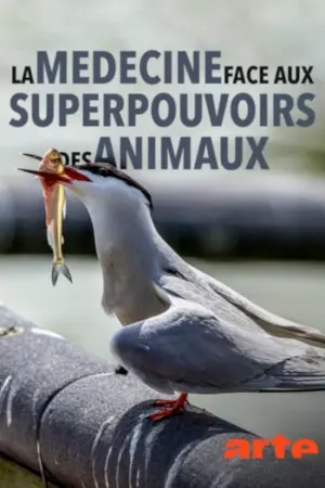 Wild Medicine: Animals' Superpowers